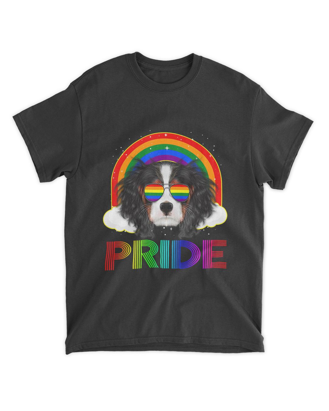 Cavalier King Gay Pride LGBT Rainbow Flag Sun Science Store